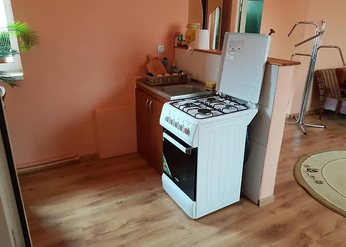 Sasha's Place شقة