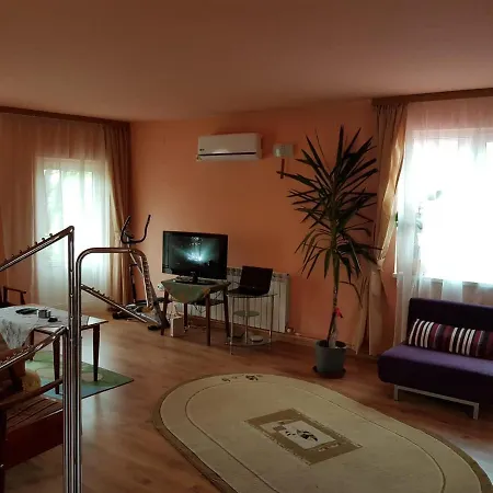 Apartman Sasha's Place