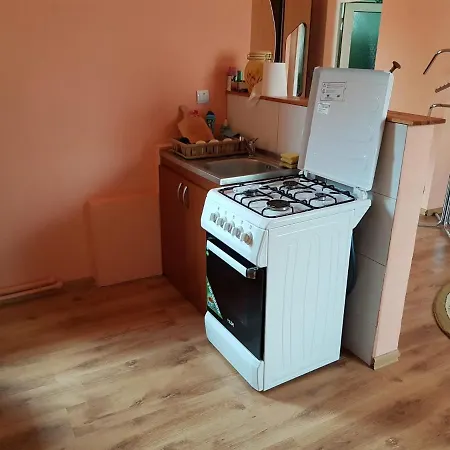 Sasha's Place Apartman